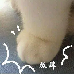 放肆（猫腿）（放肆（猫腿））