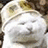 小猫（小猫）