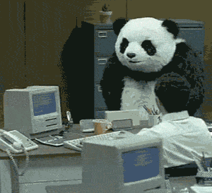 老子不复习了，靠！（熊猫砸电脑）（老子不复习了，靠！（熊猫砸电脑））