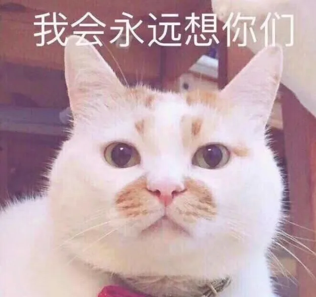 我会永远想你们（我会永远想你们）