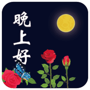 晚上好（晚上好）