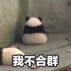 我不合群（我不合群）