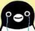 企鹅哭了（企鹅哭了）