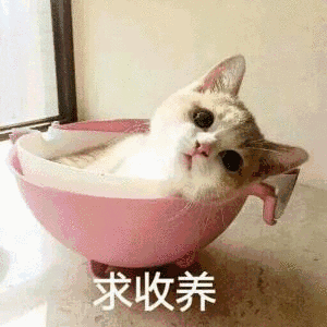 求收养（求收养）