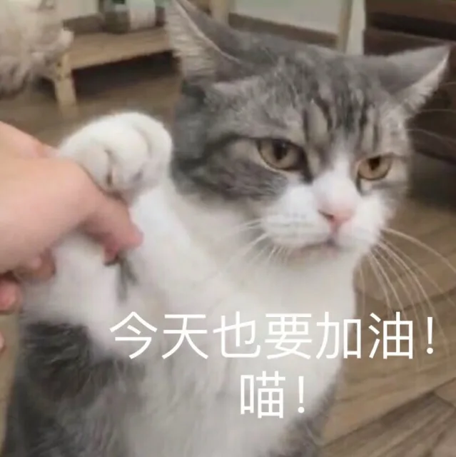 今天也要加油（今天也要加油）