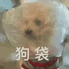 狗袋（狗袋）