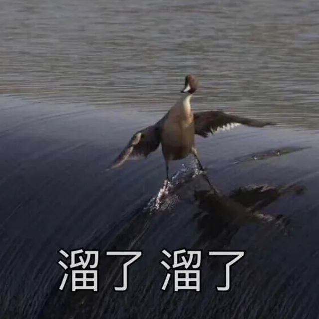 溜了溜了（溜了溜了）