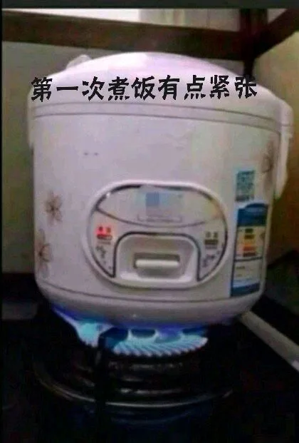 第一次煮饭有点紧张（第一次煮饭有点紧张）
