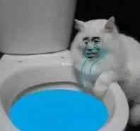 小猫哭了（小猫哭了）