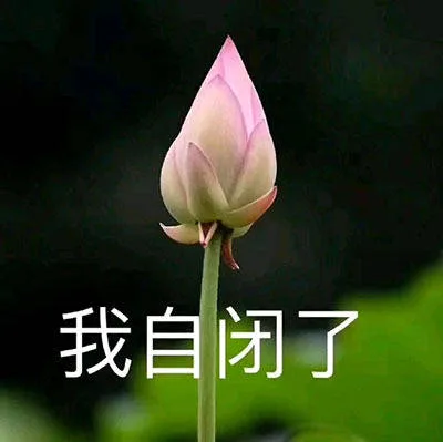 我自闭了（我自闭了）