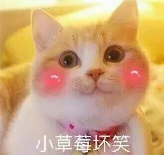 小草莓坏笑（小草莓坏笑）