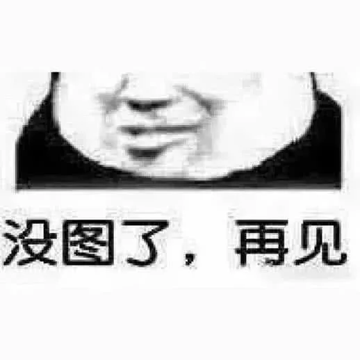 人没图了，再见（人没图了，再见）