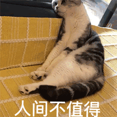 人间不值得（人间不值得）