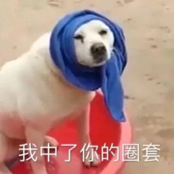 我中了你的套（我中了你的套）