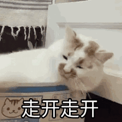 走开走开（走开走开）