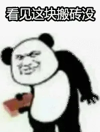 看见这块搬砖没（看见这块搬砖没）