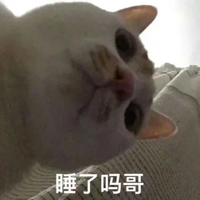 睡了吗哥（睡了吗哥）