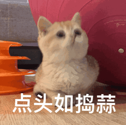 点头如捣蒜（点头如捣蒜）