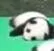 死熊猫（死熊猫）
