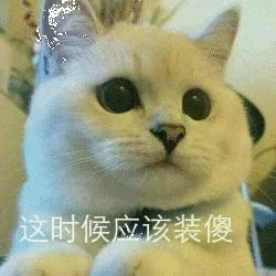 这时候应该装傻（这时候应该装傻）
