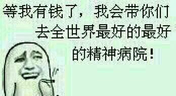 等我有钱了，我会带你们去全世界最好的最好的精神病院（等我有钱了，我会带你们去全世界最好的最好的精神病院）