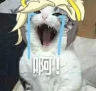啊！（啊！）