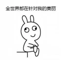 兔子：全世界都在针对我的美丽（兔子：全世界都在针对我的美丽）