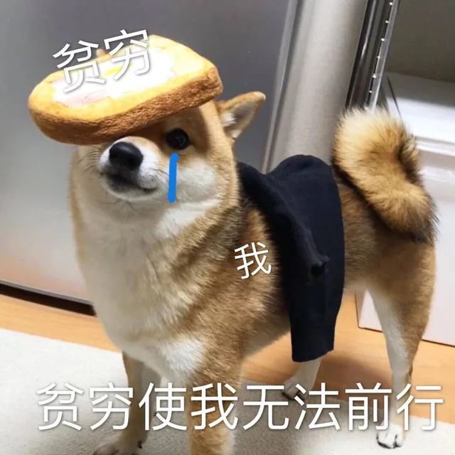 贫穷使我无法前行（贫穷使我无法前行）