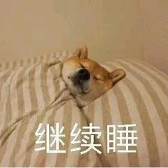 继续睡（继续睡）