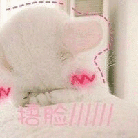 捂脸啦（捂脸啦）
