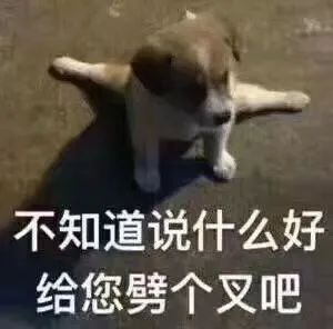 不知道说什么好给您劈个叉吧（不知道说什么好给您劈个叉吧）