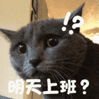 明天上班？（明天上班？）