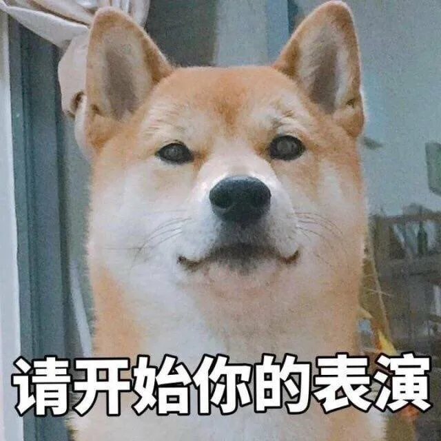 请开始你的表演（请开始你的表演）