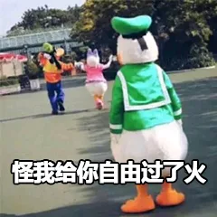 怪我给你自由过了火（怪我给你自由过了火）