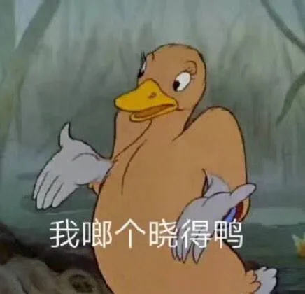 我啷个晓得鸭（我啷个晓得鸭）