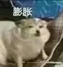 膨胀（膨胀）