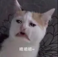 噫噫噫~（噫噫噫~）