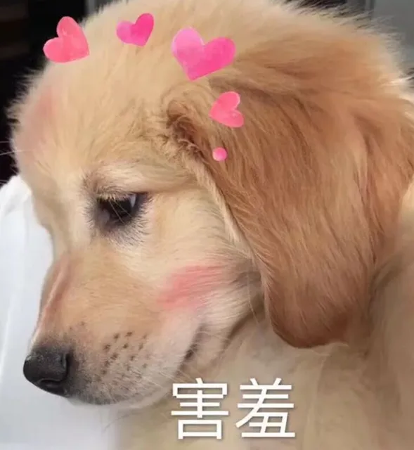 害羞（害羞）