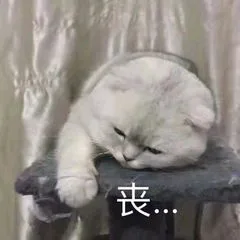 丧（丧）