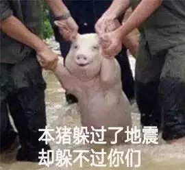 本猪躲过了地震却躲不过你们（本猪躲过了地震却躲不过你们）