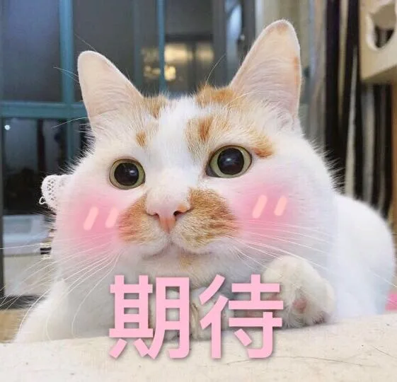 期待呀（期待呀）