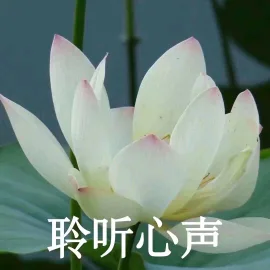 聆听心声（聆听心声）
