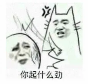 你起什么劲（你起什么劲）