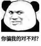 你骗我的对不对？（你骗我的对不对？）