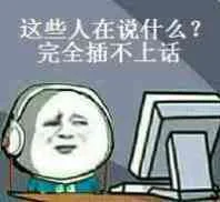 这些人在说什么？完全插不上话！（这些人在说什么？完全插不上话！）
