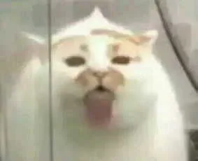 发呆中（发呆中）