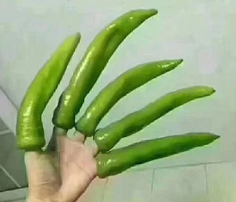 辣椒手！（辣椒手！）