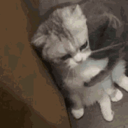 害怕死了（害怕死了）