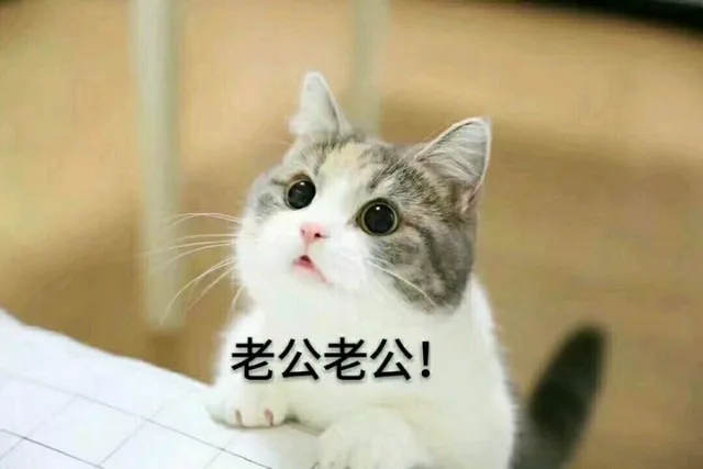 老公老公！（老公老公！）