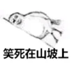笑死在山坡上（笑死在山坡上）